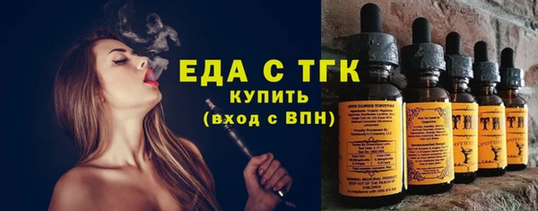 прущий лед Вяземский